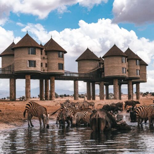2 Days Tsavo East National Park & Taita Hill Sanctuary from Diani/Mombasa