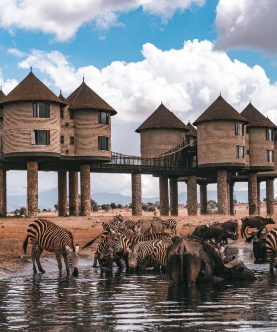 2 Days Tsavo East National Park & Taita Hill Sanctuary from Diani/Mombasa