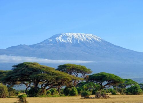 2 Days from Nairobi Hotel/Airport Amboseli National Park