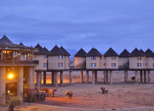 8 Days Safari From Nairobi Hotel/Airport-Amboseli-Ziwani-Taita Hills drop off Diani Beach