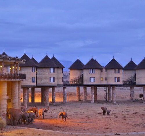 8 Days Safari From Nairobi Hotel/Airport-Amboseli-Ziwani-Taita Hills drop off Diani Beach